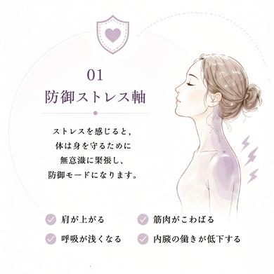 防御ストレス軸・呼吸DFL軸・骨盤ホルモン軸