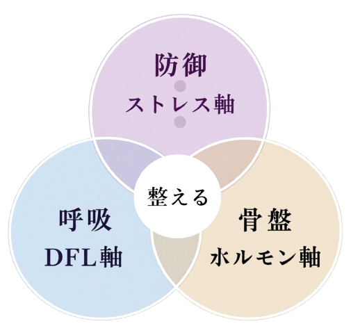 防御ストレス軸・呼吸DFL軸・骨盤ホルモン軸 — 整える