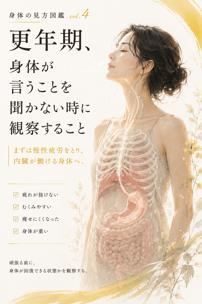 胸郭の図鑑イラスト