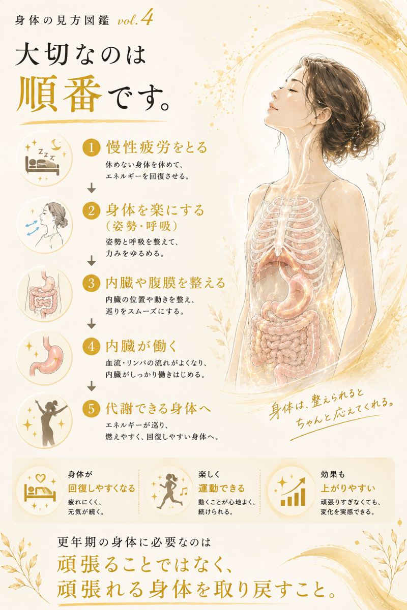 身体図鑑 vol.4